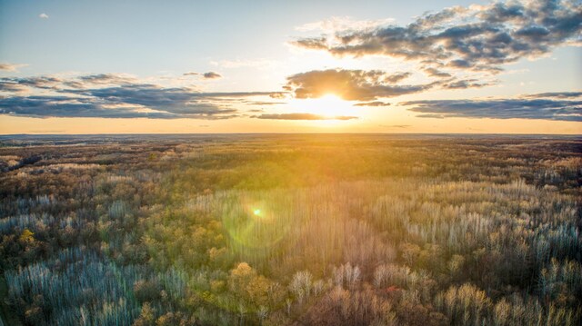 32061 Primrose Ln, Walker, MN 56461 - nature at dusk with a forest view