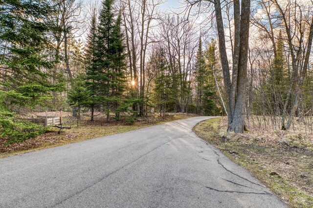 32061 Primrose Ln, Walker, MN 56461 - view of asphalt street