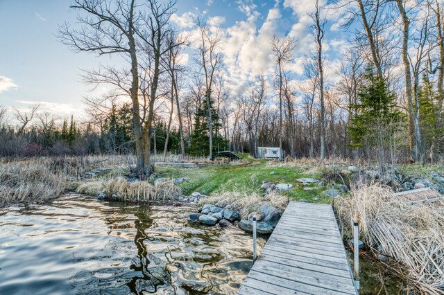 32061 Primrose Ln, Walker, MN 56461 - view of dock area