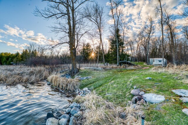 32061 Primrose Ln, Walker, MN 56461 - view of yard featuring view of scattered trees