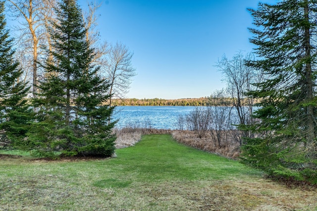 32061 Primrose Ln, Laporte, MN 56461 - photo 69