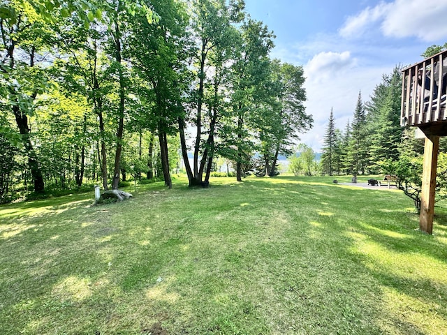 32061 Primrose Ln, Laporte, MN 56461 - photo 82