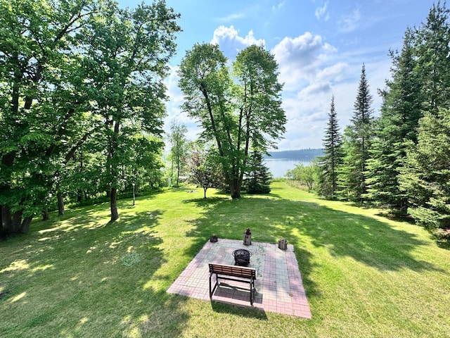 32061 Primrose Ln, Laporte, MN 56461 - photo 81
