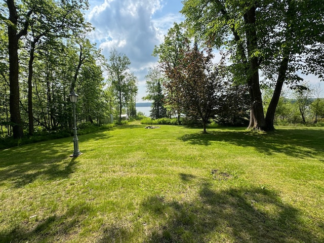32061 Primrose Ln, Laporte, MN 56461 - photo 89