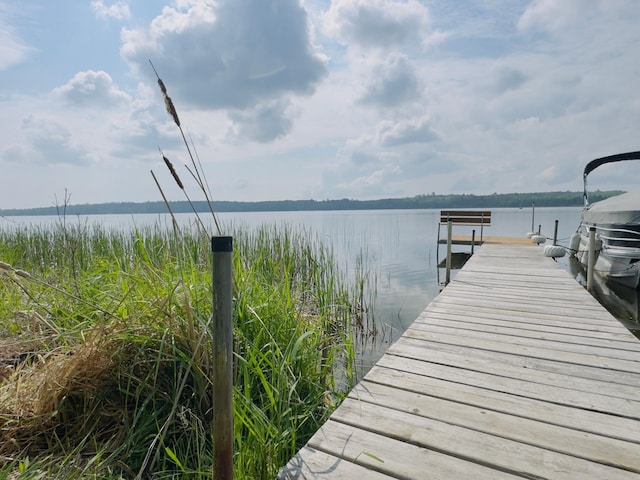 32061 Primrose Ln, Laporte, MN 56461 - photo 90