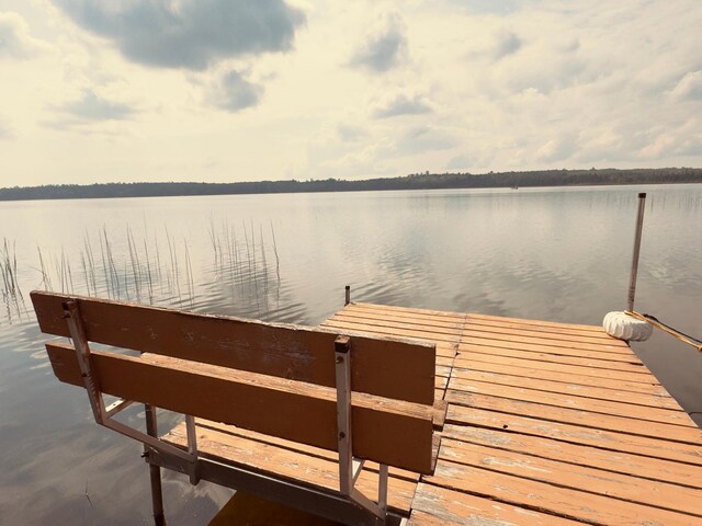 32061 Primrose Ln, Laporte, MN 56461 - photo 92