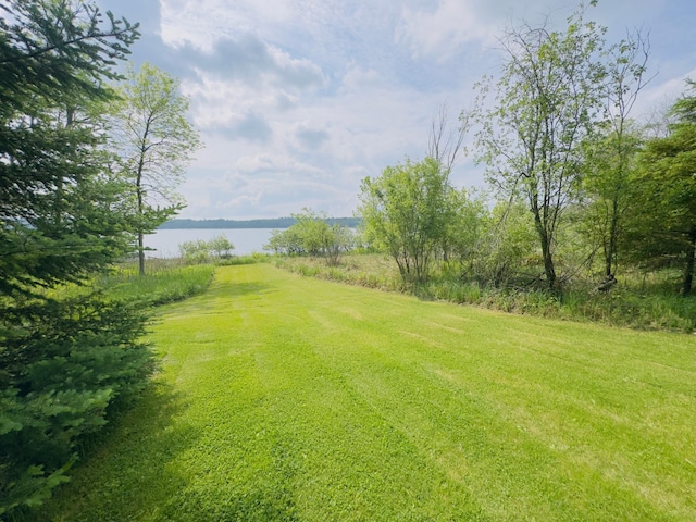 32061 Primrose Ln, Laporte, MN 56461 - photo 95