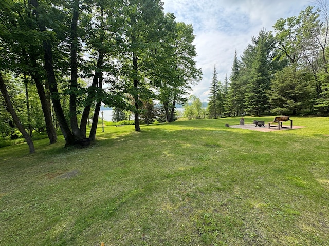 32061 Primrose Ln, Laporte, MN 56461 - photo 99