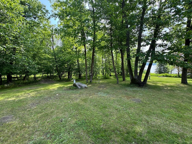 32061 Primrose Ln, Laporte, MN 56461 - photo 100