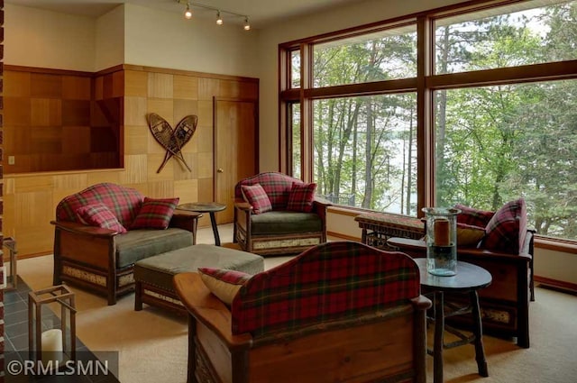 802 Flos Ct, Lincoln Twp, WI 54001 - living area with carpet and rail lighting