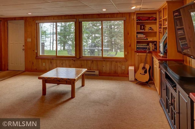 802 Flos Ct, Lincoln Twp, WI 54001 - game room with plenty of natural light, light colored carpet, wooden walls, and a baseboard heating unit