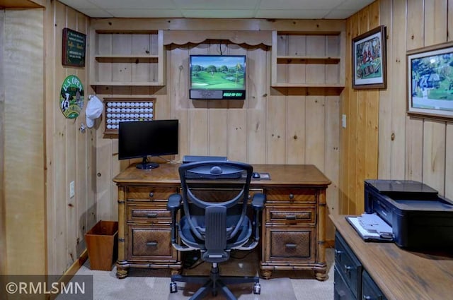 802 Flos Ct, Lincoln Twp, WI 54001 - home office with wood walls and a paneled ceiling