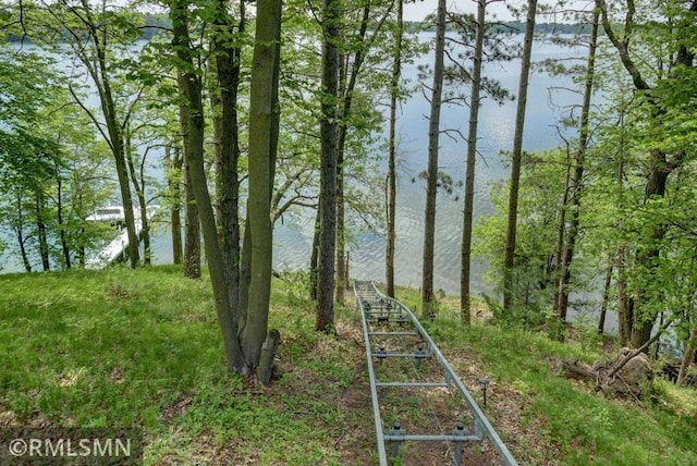 802 Flos Ct, Lincoln Twp, WI 54001 - view of yard featuring a water view