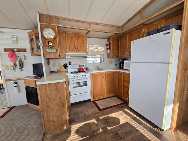 2481 Lake Miltona Dr NE Unit 1, Miltona Twp, MN 56354 - kitchen with a sink, white appliances, visible vents, under cabinet range hood, and light countertops