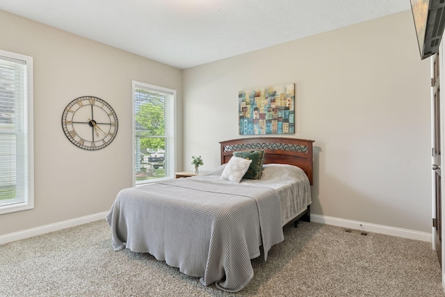 21212 Old Lake George Blvd NW, Oak Grove, MN 55303 - bedroom featuring carpet flooring and baseboards