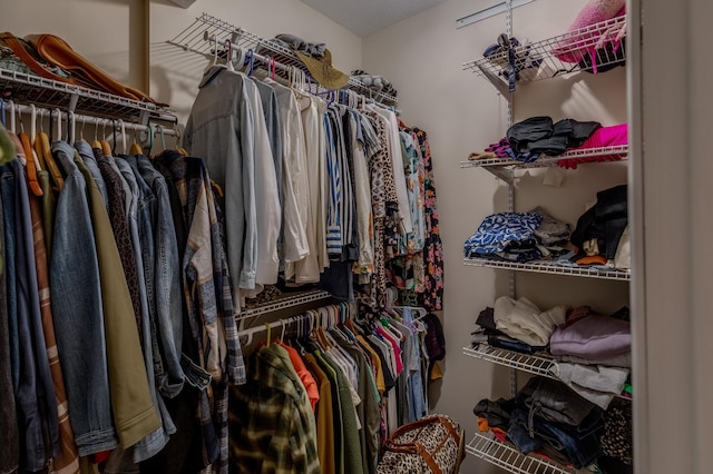 34590 Park Dr, Crosslake, MN 56442 - view of walk in closet