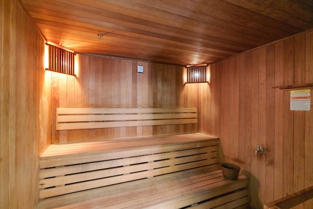 401 1st St Unit 1321, Minneapolis, MN 55401 - sauna featuring wooden walls and wooden ceiling