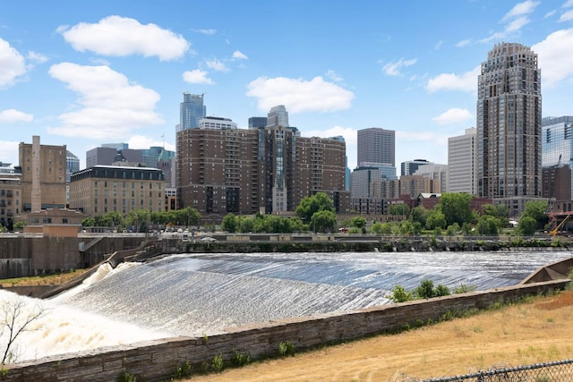 401 1st St Unit 1321, Minneapolis, MN 55401 - view of city skyline