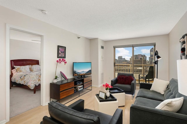401 1st St Unit 1321, Minneapolis, MN 55401 - living area with light wood-style flooring and a textured ceiling