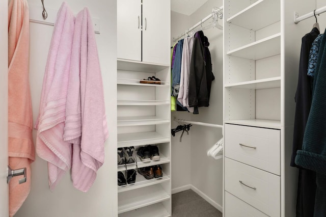 401 1st St Unit 1321, Minneapolis, MN 55401 - walk in closet featuring carpet flooring