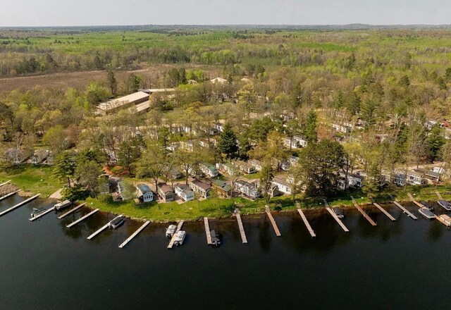 aerial view of a forest and a large body of water