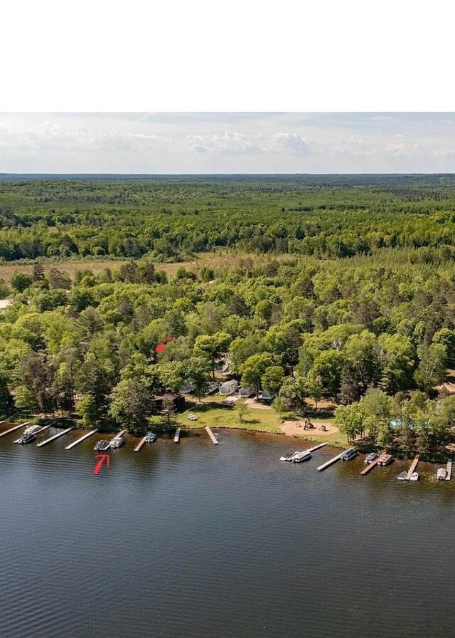 bird's eye view of a heavily wooded area and a nearby body of water