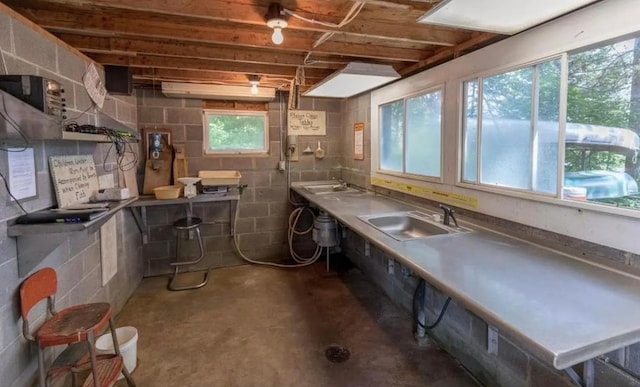 below grade area with a sink and concrete block wall