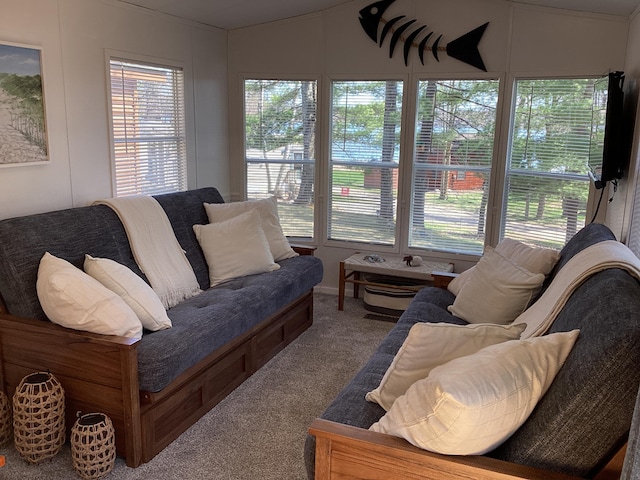 15827 Wilderness Trl, Crosslake, MN 56442 - living room with carpet floors and vaulted ceiling
