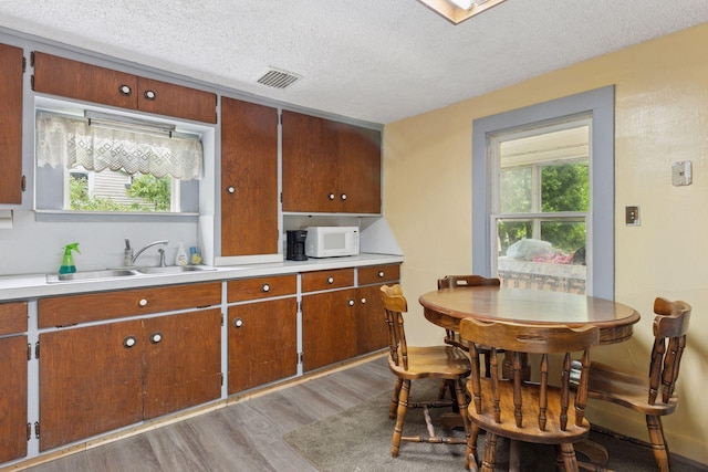 100 2nd St S, Delano, MN 55328 - kitchen featuring a sink, white microwave, light wood-type flooring, light countertops, and a textured ceiling