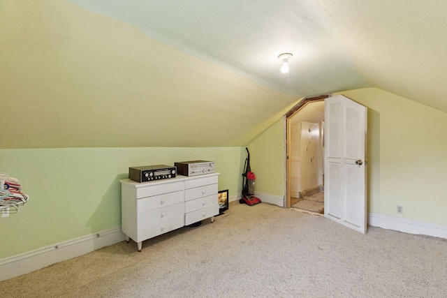 100 2nd St S, Delano, MN 55328 - additional living space featuring carpet floors, lofted ceiling, and baseboards