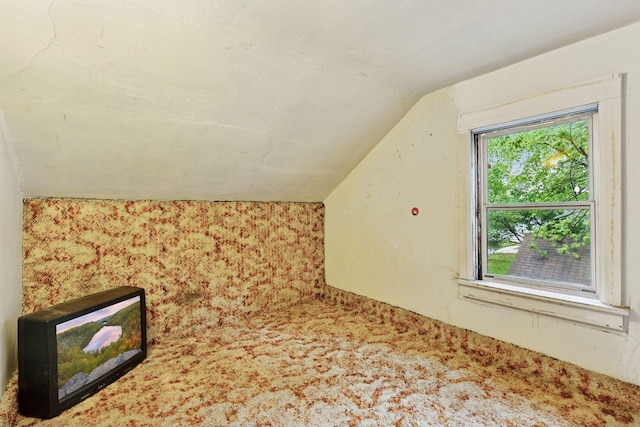 100 2nd St S, Delano, MN 55328 - bonus room featuring lofted ceiling