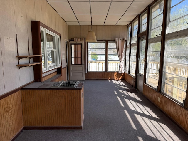 314 Burr Oak Dr, Albert Lea, MN 56007 - unfurnished sunroom featuring wooden walls and carpet floors