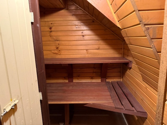 314 Burr Oak Dr, Albert Lea, MN 56007 - sauna featuring wood walls