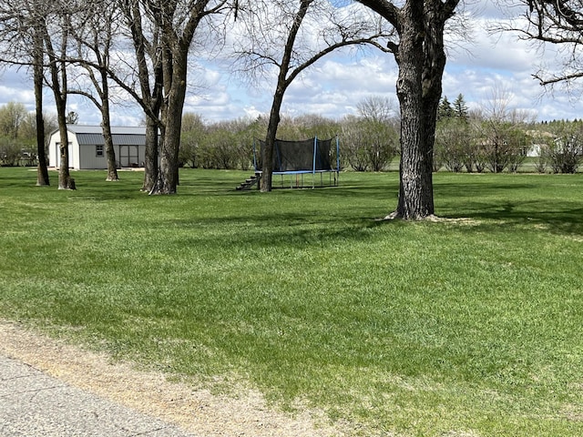2250 18th Ave, Windom, MN 56101 - view of green lawn featuring a trampoline