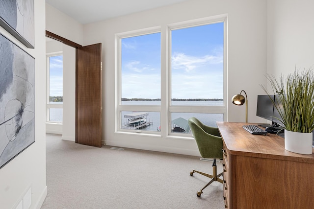4919 Three Points Blvd, Mound, MN 55364 - office space featuring carpet, healthy amount of natural light, and baseboards
