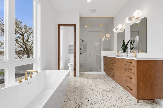 4919 Three Points Blvd, Mound, MN 55364 - bathroom with a shower stall, toilet, double vanity, a soaking tub, and plenty of natural light