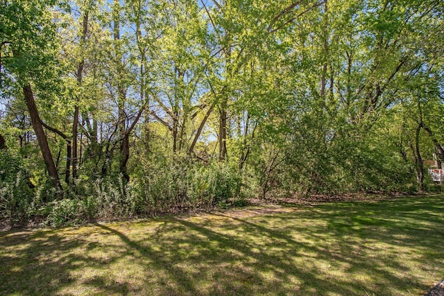 3664 Abbey Way Unit C, Eagan, MN 55123 - view of green lawn with a view of trees