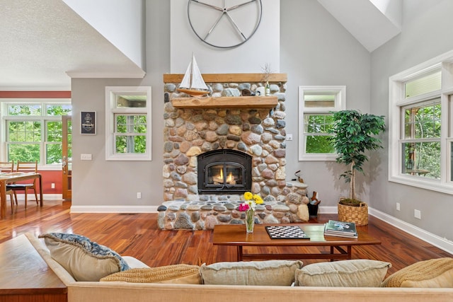 16710 Edgewood Ave, Wayzata, MN 55391 - living room with wood finished floors, a stone fireplace, and high vaulted ceiling