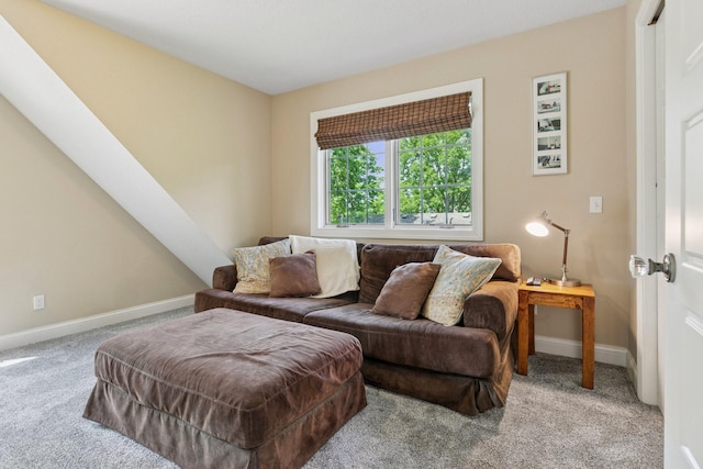 16710 Edgewood Ave, Wayzata, MN 55391 - living room featuring carpet flooring