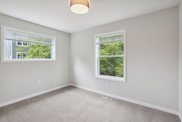 2219 Youngman Ave, Saint Paul, MN 55116 - carpeted empty room with plenty of natural light, visible vents, and baseboards