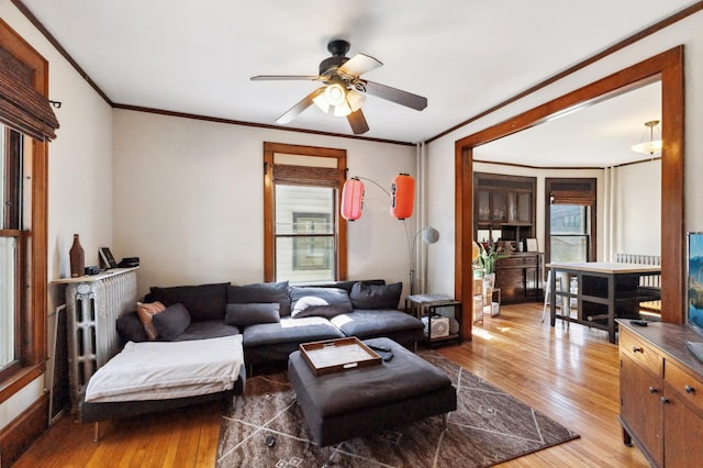 living room featuring light wood finished floors, ornamental molding, radiator, and ceiling fan