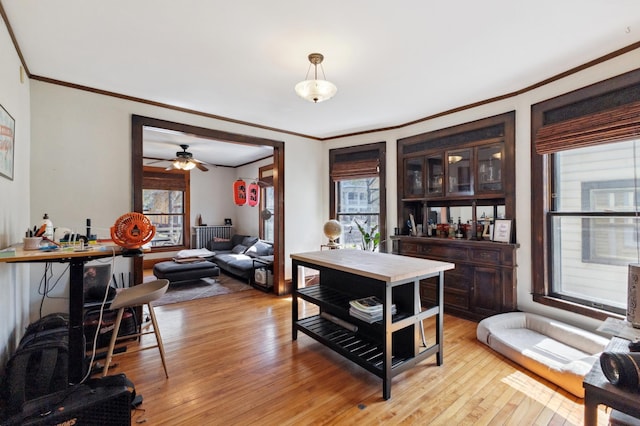 dining room with light wood finished floors, ornamental molding, and a ceiling fan