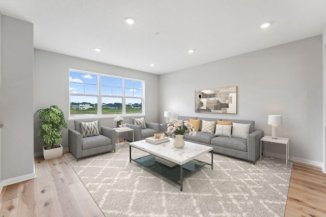 6742 Wildflower Way, Minnetrista, MN 55331 - living area with wood finished floors and recessed lighting
