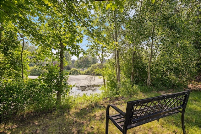 6913 Sumac Ct, Centerville, MN 55038 - view of yard