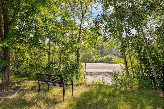 6913 Sumac Ct, Centerville, MN 55038 - view of community