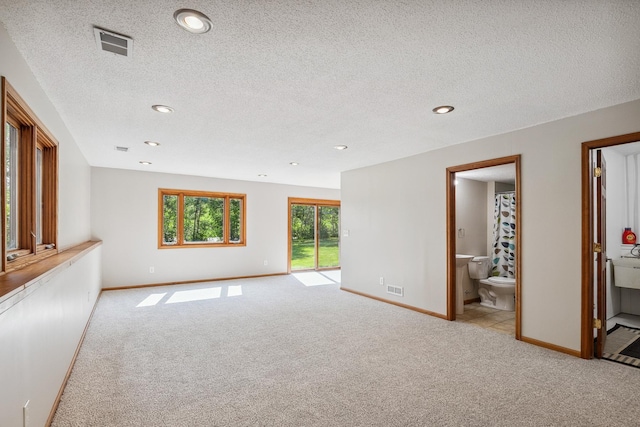 6913 Sumac Ct, Centerville, MN 55038 - unfurnished room with light carpet, a textured ceiling, and recessed lighting