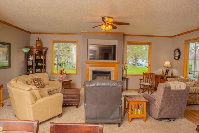 425 Ranch Cir SW Unit 5, Bemidji, MN 56601 - photo 3