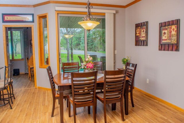 425 Ranch Cir SW Unit 5, Bemidji, MN 56601 - photo 8