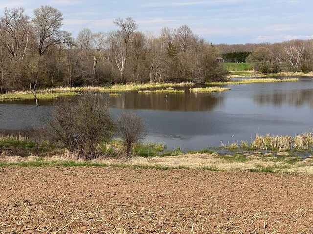 26XX2 Pheasant Run, Franconia Twp, MN 55045 - photo 10