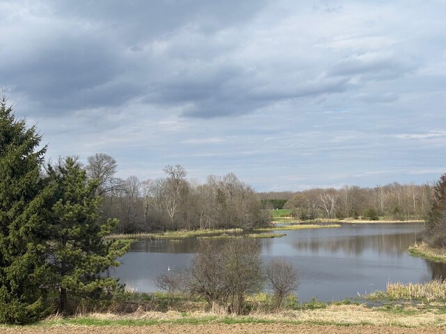 26XX2 Pheasant Run, Franconia Twp, MN 55045 - photo 11